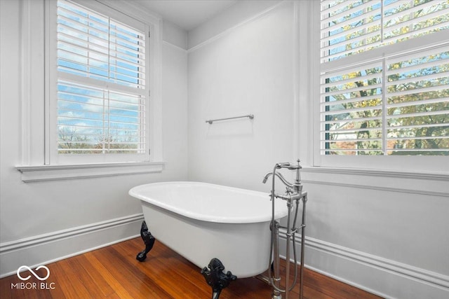 bathroom with a bathtub and wood-type flooring