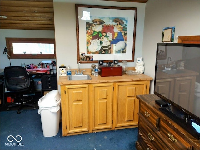 bathroom featuring sink