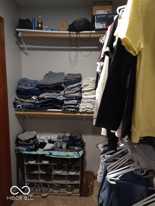 spacious closet featuring carpet floors