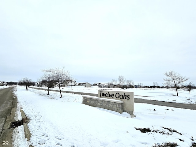 view of yard covered in snow