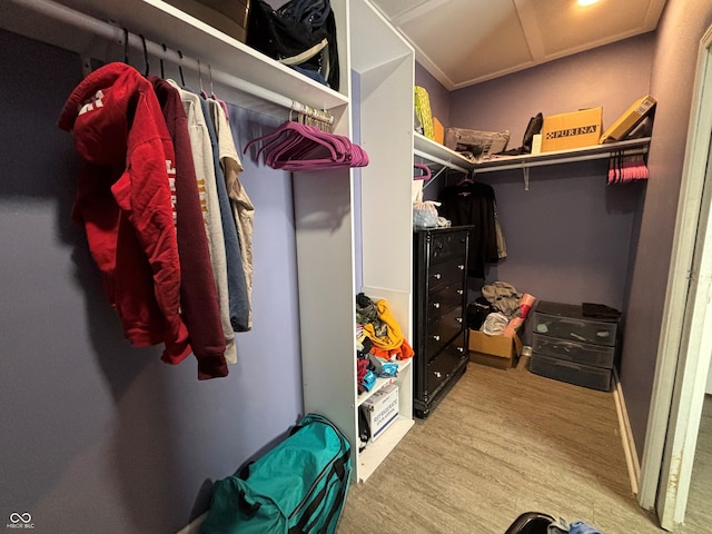 spacious closet with hardwood / wood-style floors