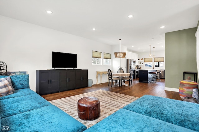 living room featuring dark hardwood / wood-style flooring