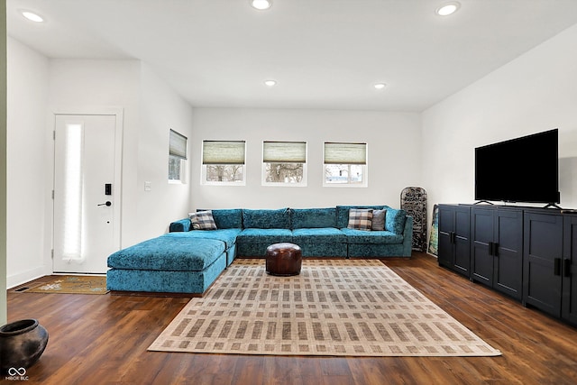 living room featuring dark hardwood / wood-style flooring