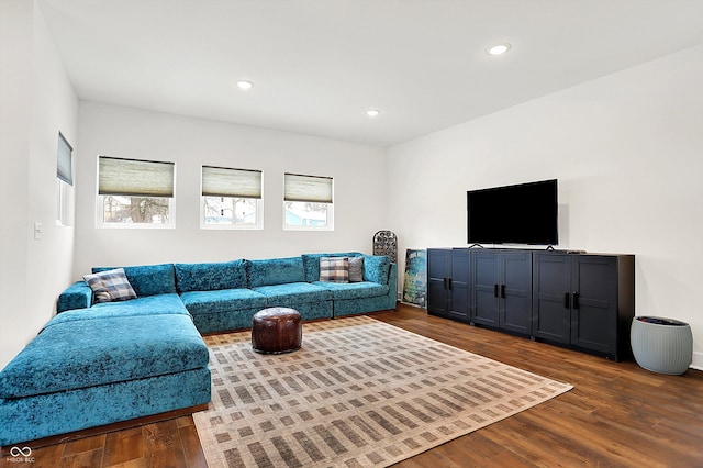 living room featuring a healthy amount of sunlight and dark hardwood / wood-style floors