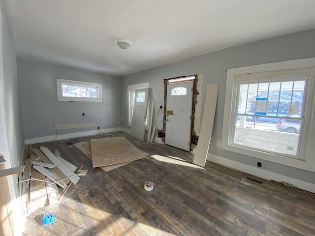 foyer entrance featuring a healthy amount of sunlight and dark hardwood / wood-style floors