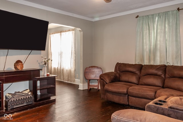 living room with dark wood-type flooring and crown molding