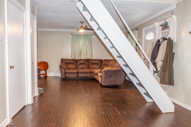 living room featuring ceiling fan, dark hardwood / wood-style flooring, and crown molding