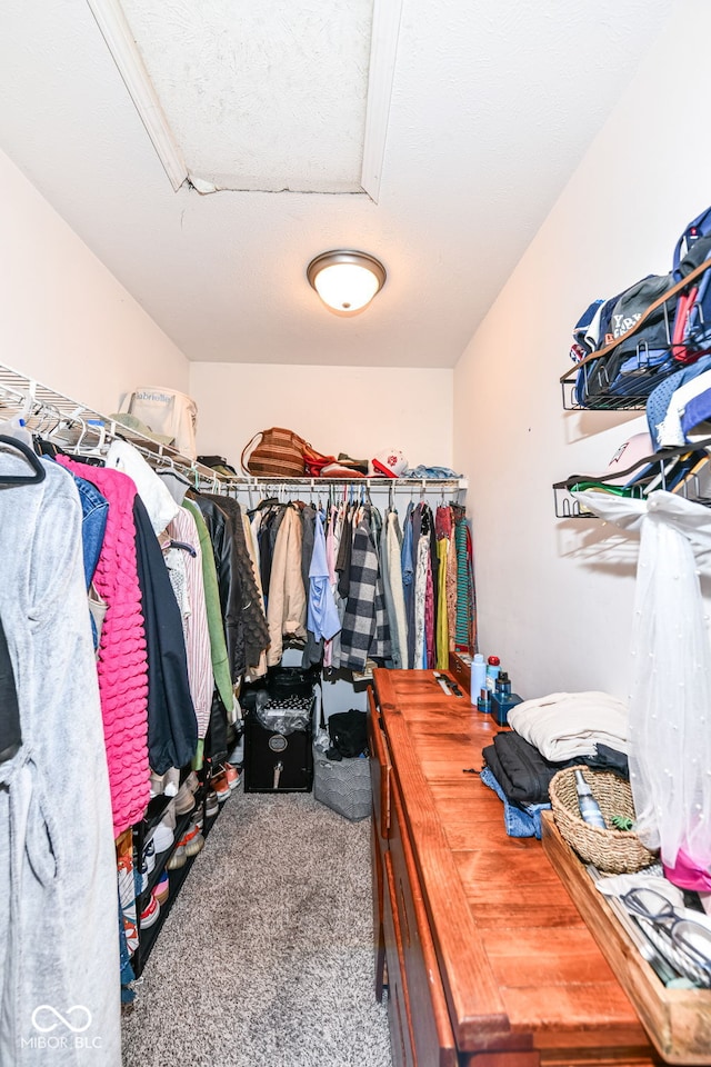 spacious closet featuring carpet floors