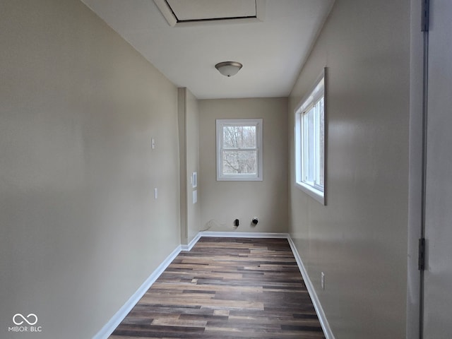 clothes washing area featuring hardwood / wood-style flooring