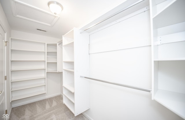 walk in closet with light carpet