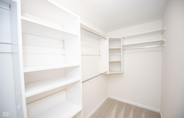 walk in closet with light colored carpet