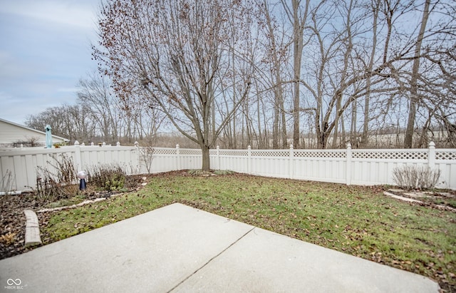 view of yard featuring a patio area