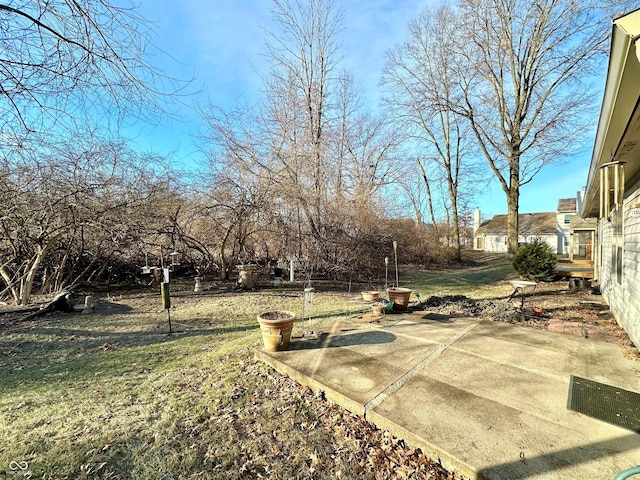 view of yard featuring a patio area