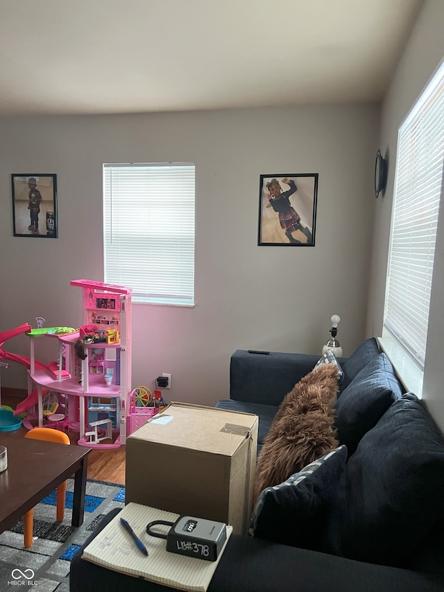 recreation room with hardwood / wood-style flooring