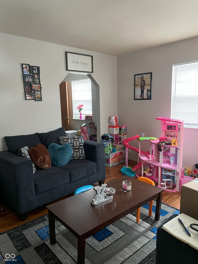 living room with hardwood / wood-style flooring