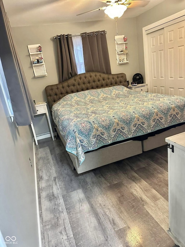 bedroom featuring ceiling fan, a closet, and dark wood-type flooring