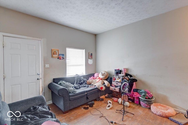 living room with wood-type flooring and a textured ceiling