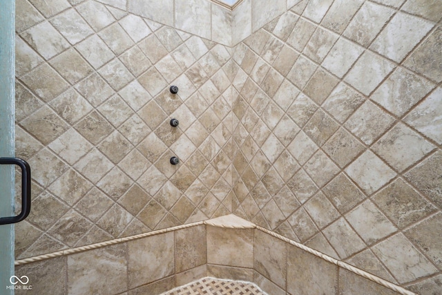 interior details with a shower with door