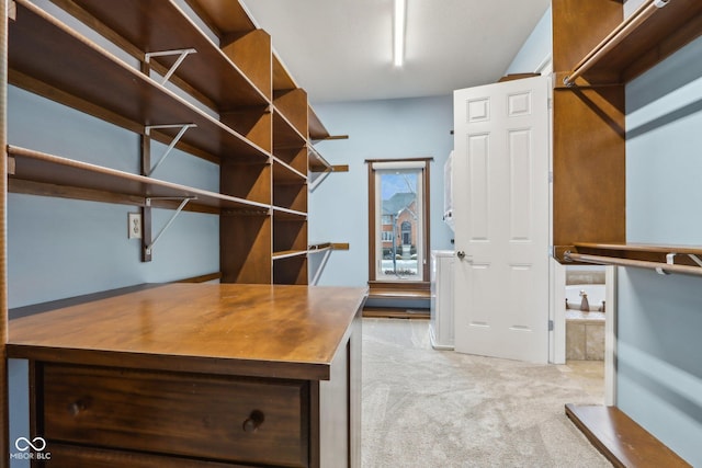 spacious closet with light carpet