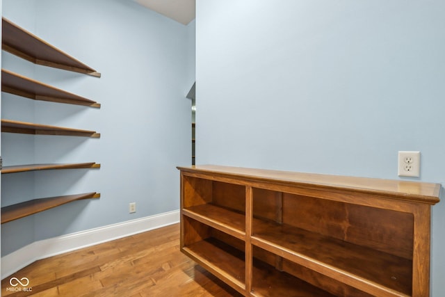 interior space with wood-type flooring