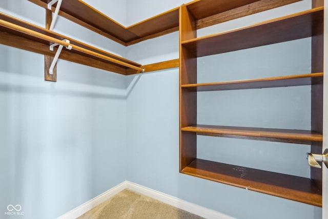 spacious closet with carpet