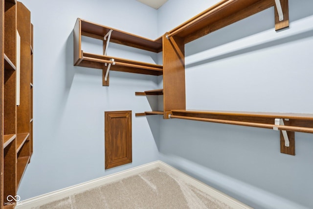 spacious closet with carpet flooring