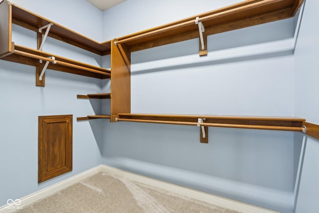 spacious closet featuring carpet floors