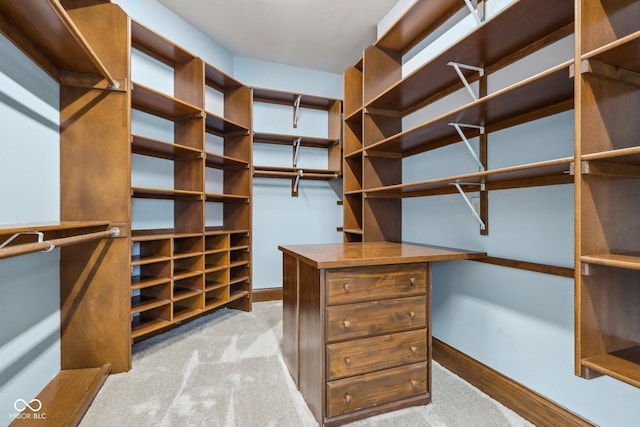 spacious closet with light colored carpet