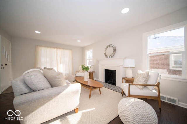 living room with dark hardwood / wood-style floors