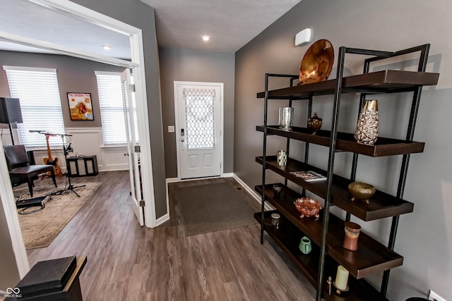 entryway featuring hardwood / wood-style flooring