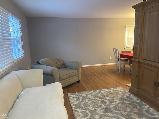 living room featuring hardwood / wood-style flooring