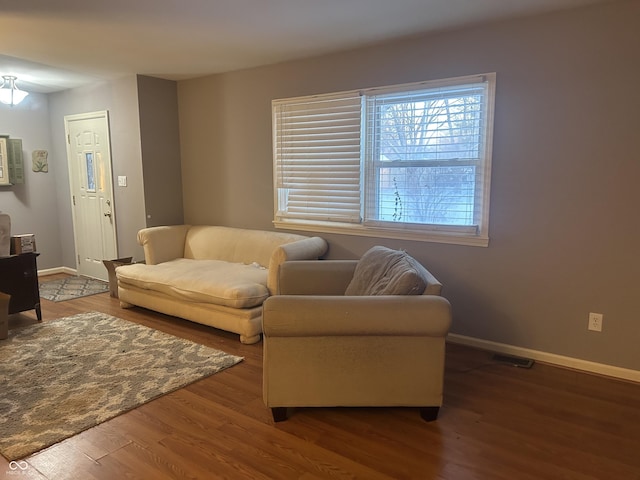 living room featuring wood-type flooring