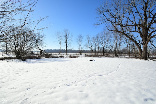 view of snowy yard