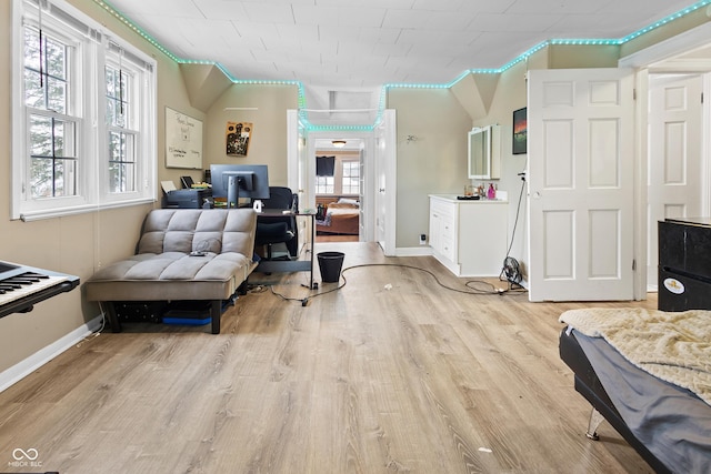 office area featuring a wealth of natural light and light hardwood / wood-style flooring