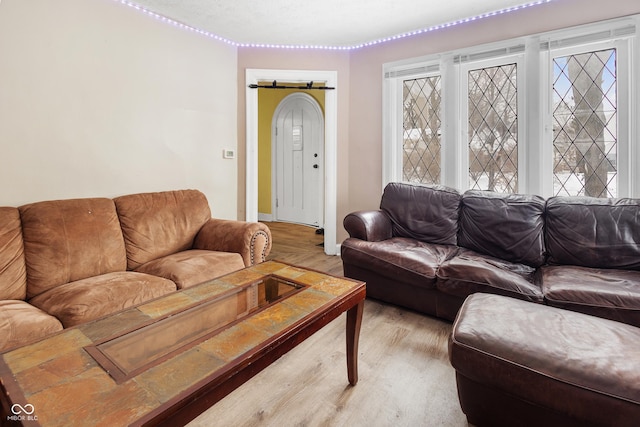 living room featuring hardwood / wood-style floors