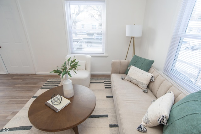 living room with hardwood / wood-style floors