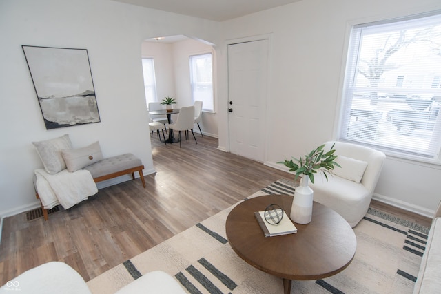 living room with hardwood / wood-style flooring