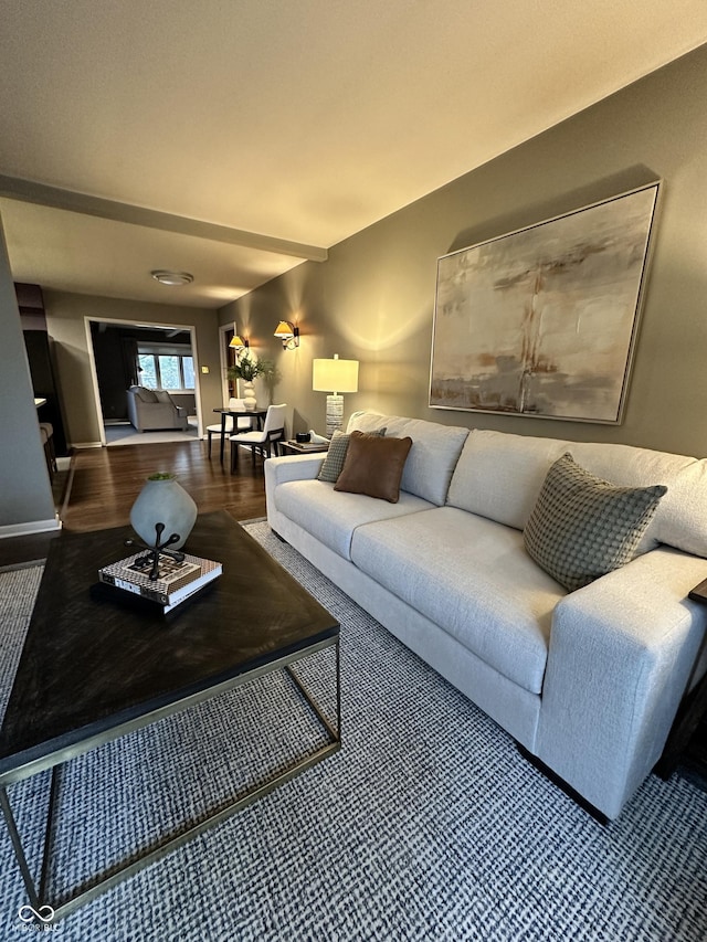 living room featuring hardwood / wood-style floors