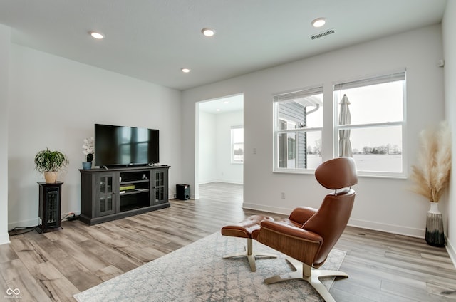 living room featuring a healthy amount of sunlight and light wood-type flooring