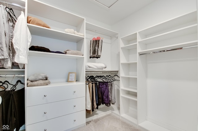 spacious closet featuring light carpet