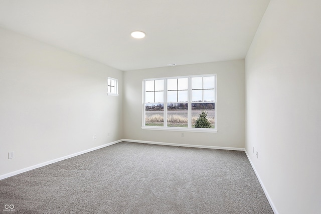 unfurnished room featuring carpet floors