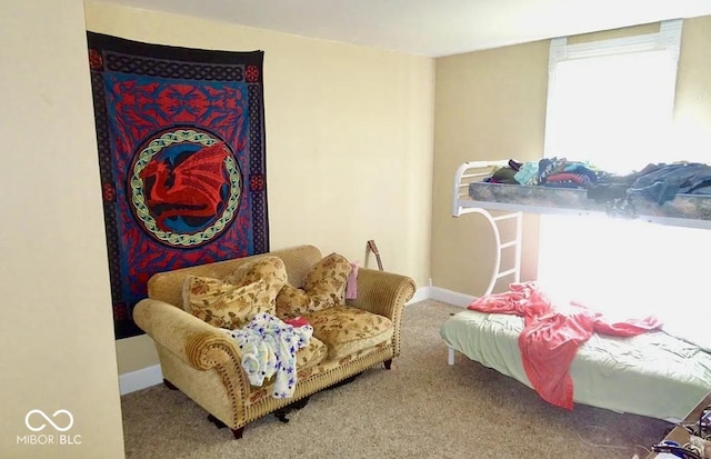 living area featuring carpet flooring