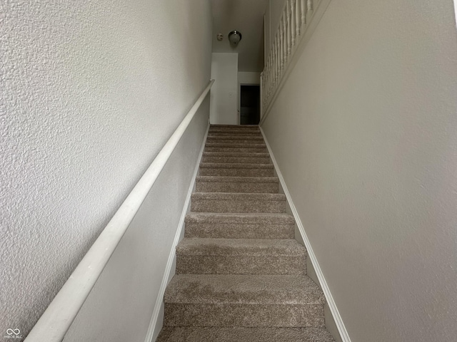 stairway with carpet flooring