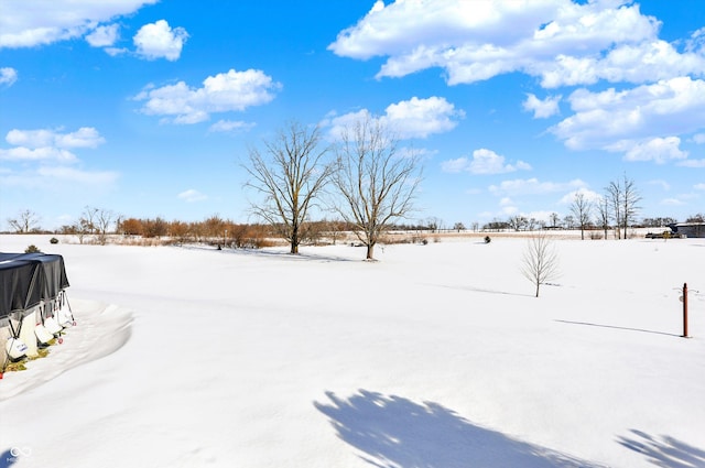 view of snowy yard