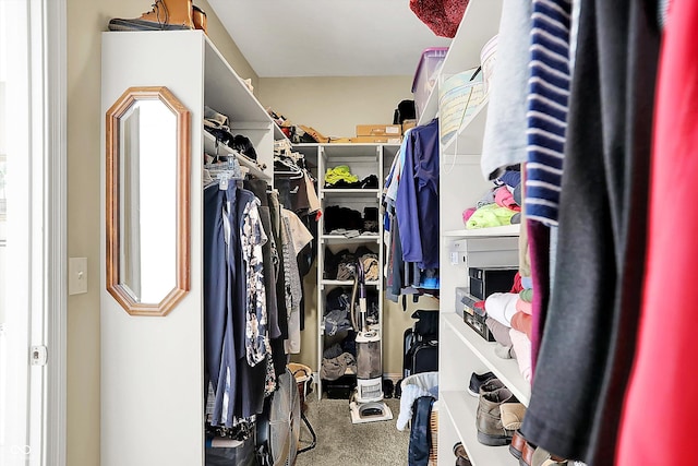 spacious closet with carpet