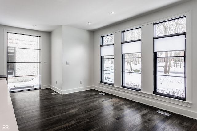 unfurnished room featuring dark wood-type flooring and plenty of natural light