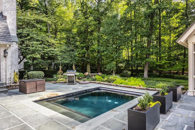 view of pool featuring a patio area