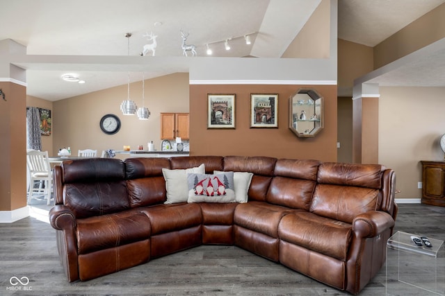 living room with dark hardwood / wood-style flooring, lofted ceiling, and rail lighting