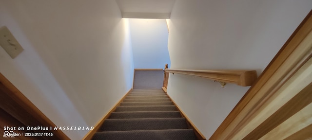 stairs featuring carpet