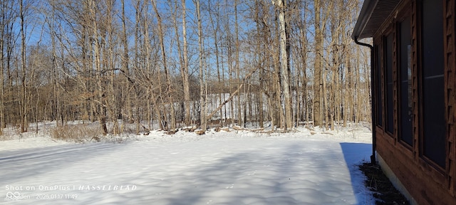 view of yard layered in snow